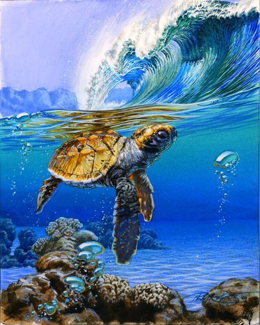 Dive into the Ocean's Wonders with VIVA™ DIY Painting By Numbers - Sea Turtle (16"x20" / 40x50cm), A Soothing and Inspiring Art Journey - VIVA Paint-by-Numbers