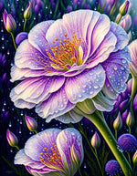 VIVA™ Dewy Lisianthus Collection (EXCLUSIVE) - Luminary (16"x20"/40x50cm) - VIVA Paint-by-Numbers