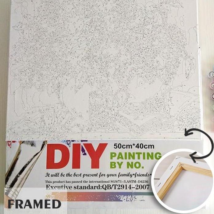 VIOCO DIY Framed Acrylic Paint by Numbers Kit for Ghana