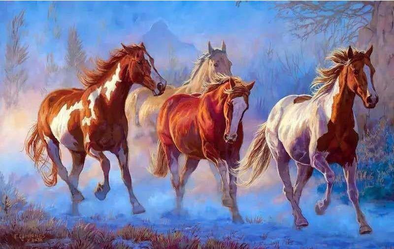 VIVA™ DIY Painting By Numbers - Horses (16"x20" / 40x50cm) - VIVA Paint-by-Numbers