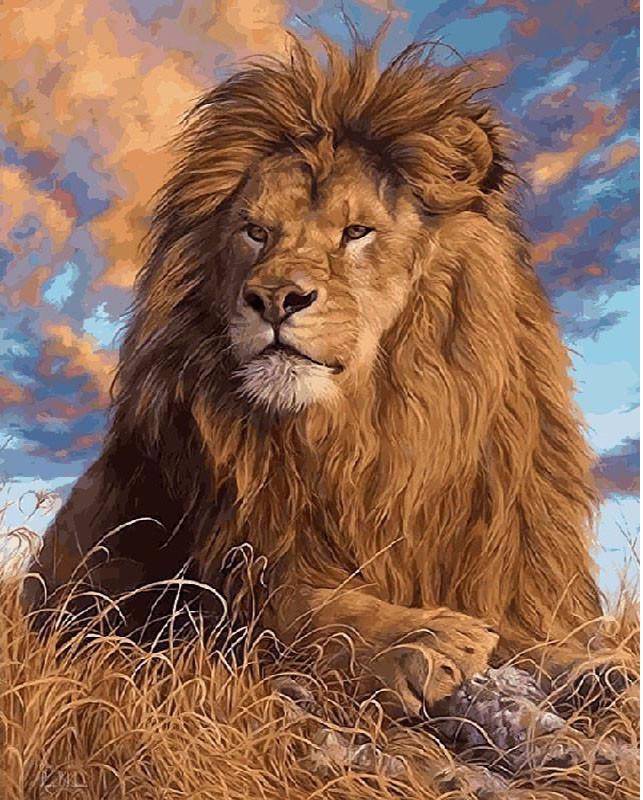 VIVA™ DIY Painting By Numbers - Lion King (16"x20" / 40x50cm) - VIVA Paint-by-Numbers