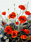VIVA™ DIY Painting By Numbers - Poppy Perfection (16"x20" / 40x50cm) - VIVA Paint-by-Numbers