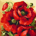 VIVA™ DIY Painting By Numbers - Red Flower (16"x20" / 40x50cm) - VIVA Paint-by-Numbers