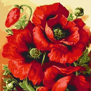 VIVA™ DIY Painting By Numbers - Red Flower (16"x20" / 40x50cm) - VIVA Paint-by-Numbers