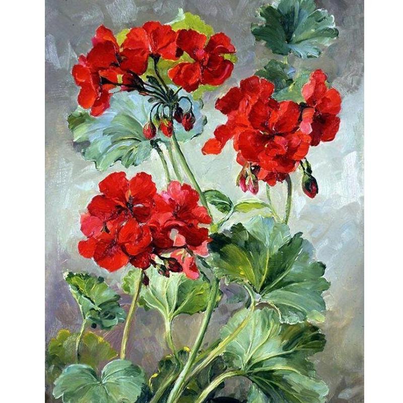 VIVA™ DIY Painting By Numbers -Rose Geranium (16"x20" / 40x50cm) - VIVA Paint-by-Numbers