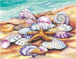 VIVA™ DIY Painting By Numbers -Shells (16"x20" / 40x50cm) - VIVA Paint-by-Numbers