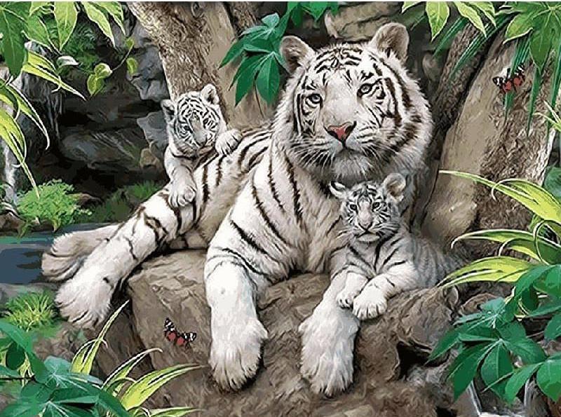 VIVA™ DIY Painting By Numbers - White Tigers (16"x20" / 40x50cm) - VIVA Paint-by-Numbers