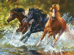 VIVA™ DIY Painting By Numbers - Wild Stallions in the Creek (16"x20" / 40x50cm) - VIVA Paint-by-Numbers