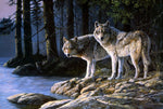 VIVA™ DIY Painting By Numbers - Wolf By The River(16"x20" / 40x50cm) - VIVA Paint-by-Numbers