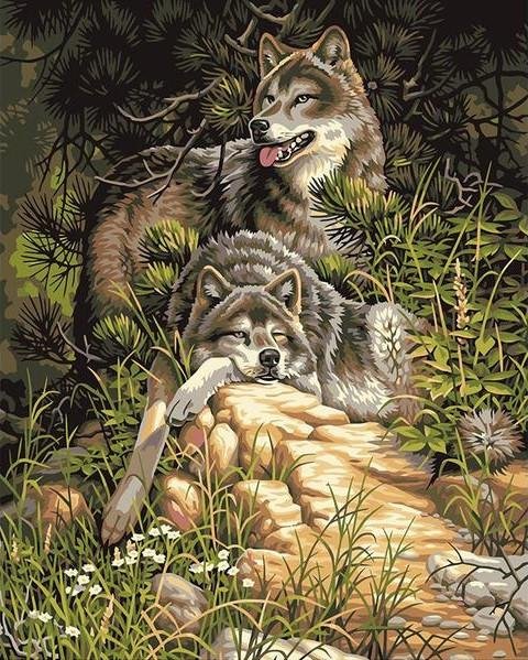 VIVA™ DIY Painting By Numbers - Wolves (16"x20" / 40x50cm) - VIVA Paint-by-Numbers